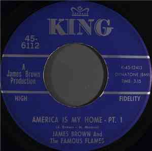James Brown & The Famous Flames - America Is My Home