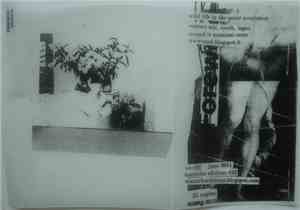 Wound  - Wild Life In The Quiet Revolution