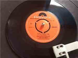 Opal Butterfly - You're A Groupie Girl