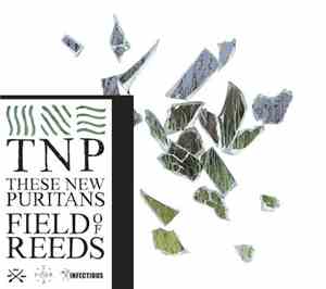 These New Puritans - Field Of Reeds