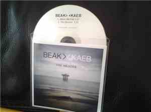 Beak> /  