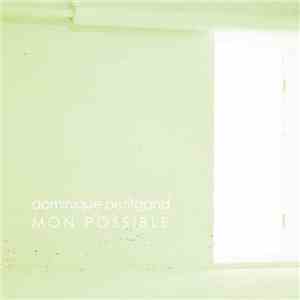 Dominique Petitgand - Mon Possible