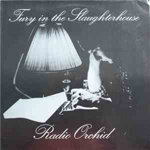Fury In The Slaughterhouse - Radio Orchid