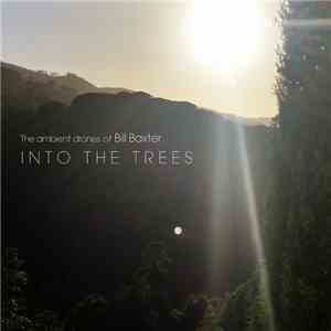 The Ambient Drones Of Bill Baxter - Into The Trees